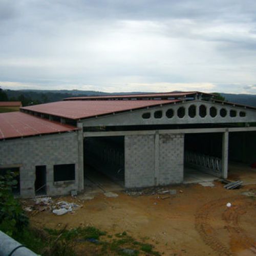 Ingeniería agroindustrial